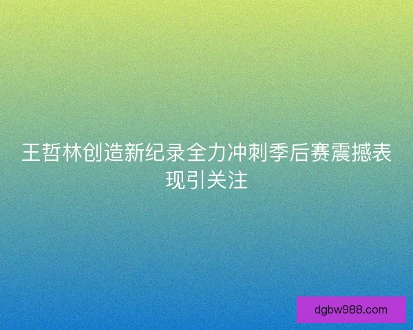 王哲林创造新纪录全力冲刺季后赛震撼表现引关注