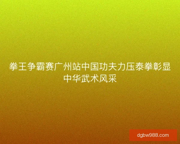拳王争霸赛广州站中国功夫力压泰拳彰显中华武术风采
